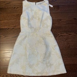 NEW WITH TAGS Alice and Olivia Dress
